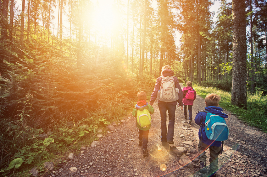 Family hiking on a forest trail with sunlight filtering through the trees.